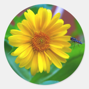 The Visitor Classic Round Sticker
