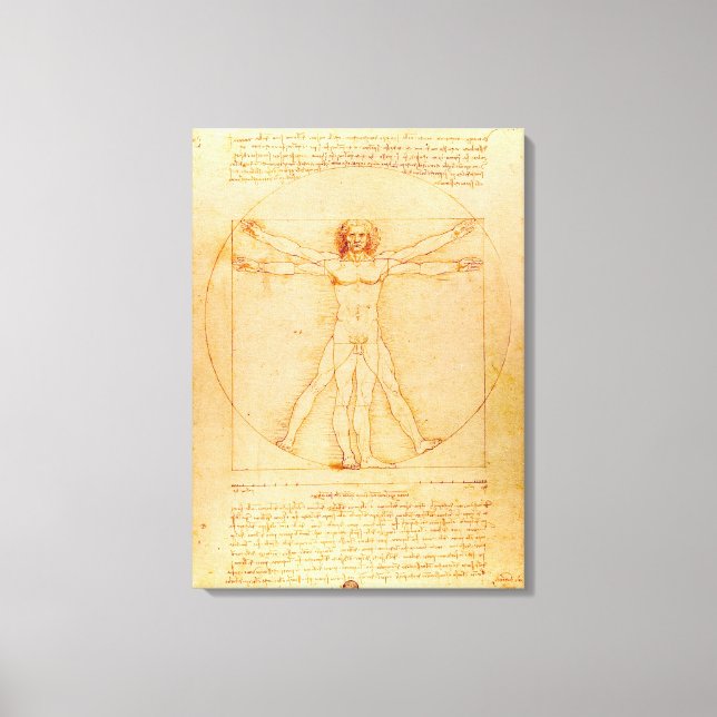 The Vitruvian Man - Leonardo da Vinci  Canvas Print (Front)