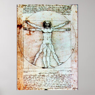 THE VITRUVIAN MAN POSTER