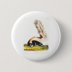 the viviparous quadrupeds by John James Audubon 6 Cm Round Badge