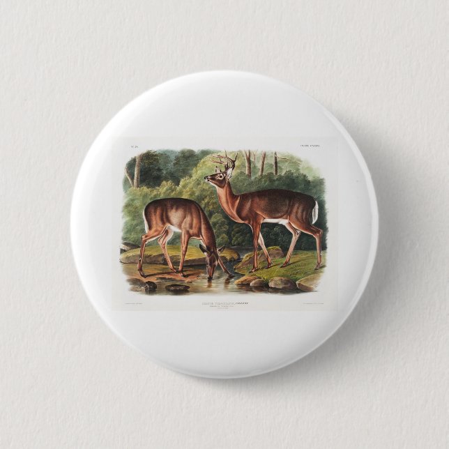 the viviparous quadrupeds by John James Audubon 6 Cm Round Badge (Front)