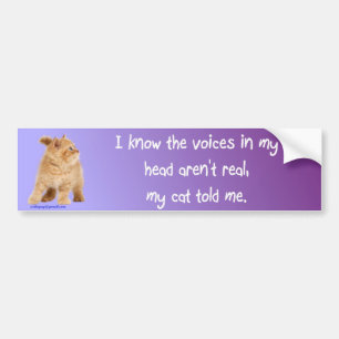 the voices in my head bumper sticker