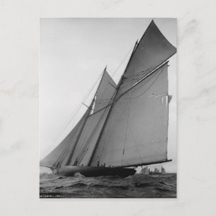 The Volunteer Postcard