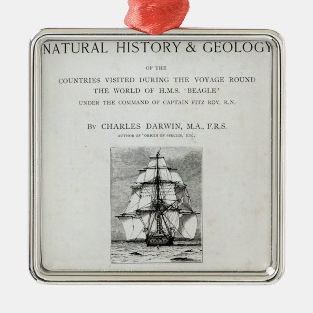 The Voyage of the Beagle Metal Tree Decoration (Front)