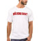 The WALKING DAD shirt Zombie Edition