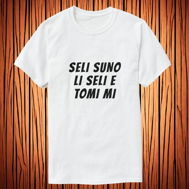 The warmth of the sun heats my home in Toki Pona T-Shirt (Creator Uploaded)