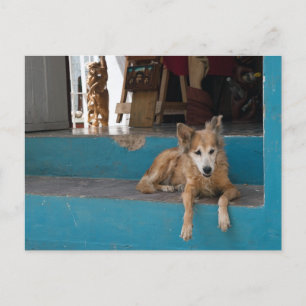 The Watchdog. Postcard