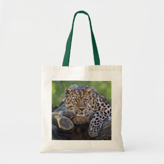 The Watcher Bag
