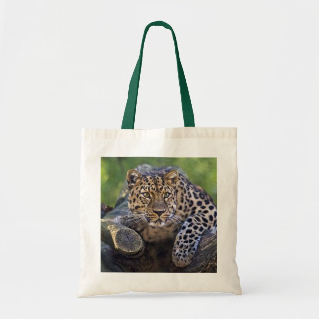 The Watcher Bag (Front)