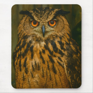 The Watcher – Eurasian Eagle-Owl in Woodland Light Mouse Mat