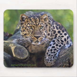 The Watcher Mousemat