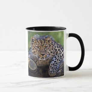 The Watcher Mug