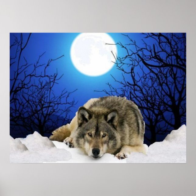 The Watcher wolf Poster (Front)