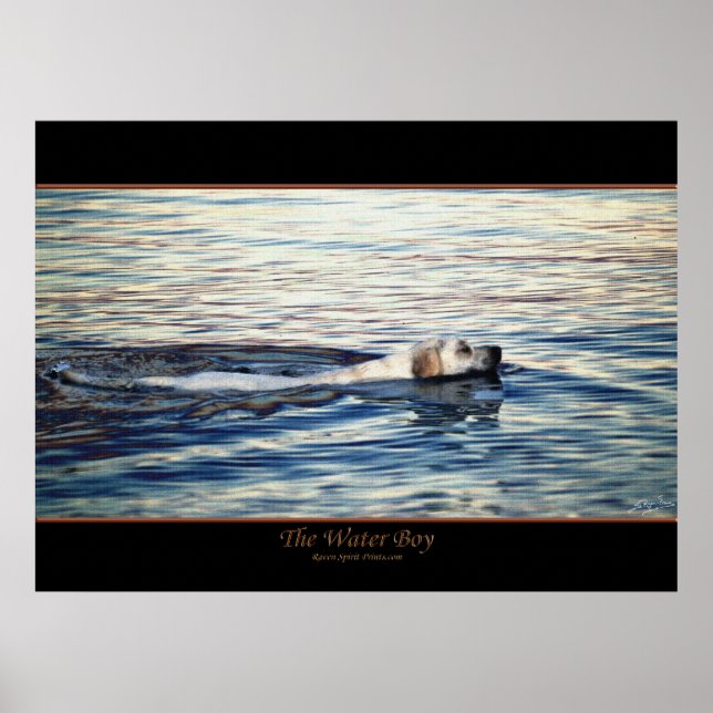 THE WATER BOY Dog Art Poster (Front)