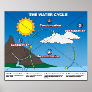 The Water Cycle Poster