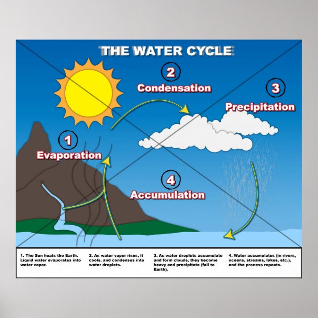 The Water Cycle Poster (Front)
