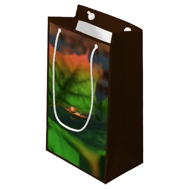 The Water Is Wide Gift Bag (Front Angled)