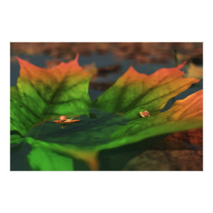 The Water Is Wide Photo Print