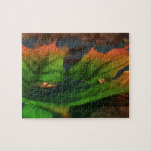 The Water Is Wide Puzzle