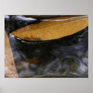 The Water Line Poster