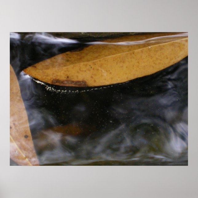 The Water Line Poster (Front)