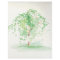 The Watercolor Willow Stationary