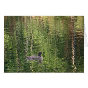 The waters of Walden Pond--Common Loon