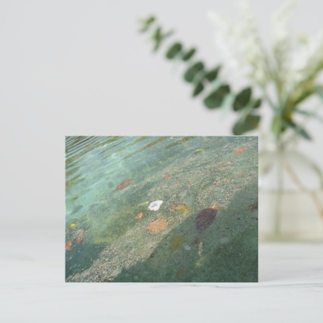 The water's surface in October Postcard (Standing Front)