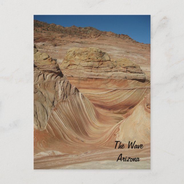 The Wave, Arizona Postcard (Front)