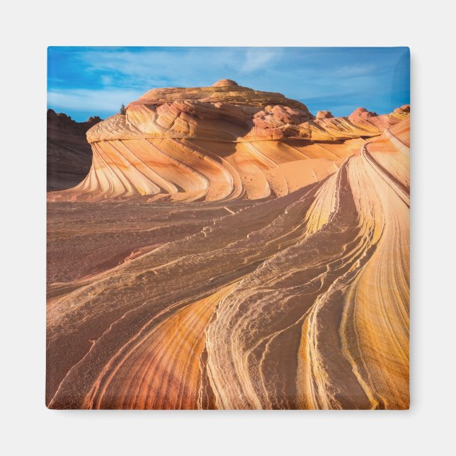 The Wave In Arizona Magnet (Front)