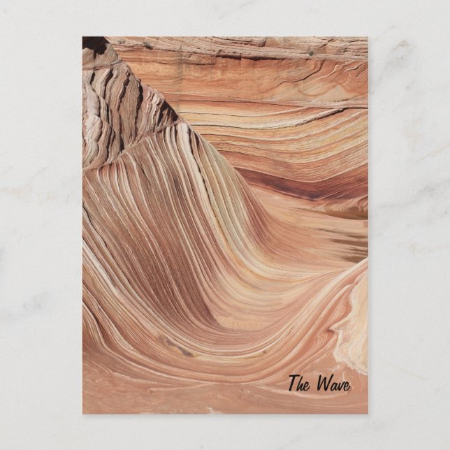 The Wave Postcard (Front)