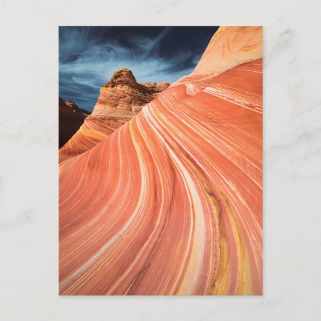 The wave, vermilion cliffs, Arizona Postcard (Front)