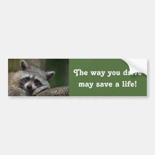 The Way You Drive Bumper Sticker