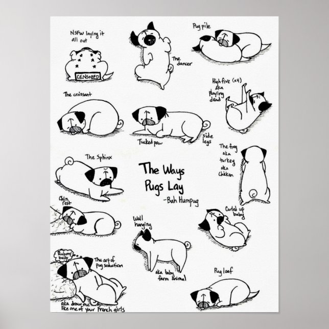 The Ways Pugs Lay Poster (Front)