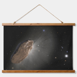 The Wayward Interstellar Object Oumuamua. Hanging Tapestry