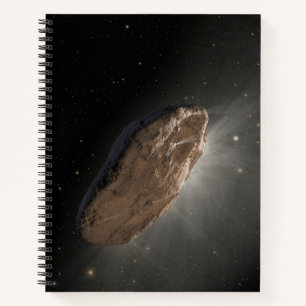 The Wayward Interstellar Object Oumuamua. Notebook