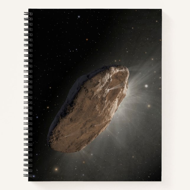 The Wayward Interstellar Object Oumuamua. Notebook (Front)