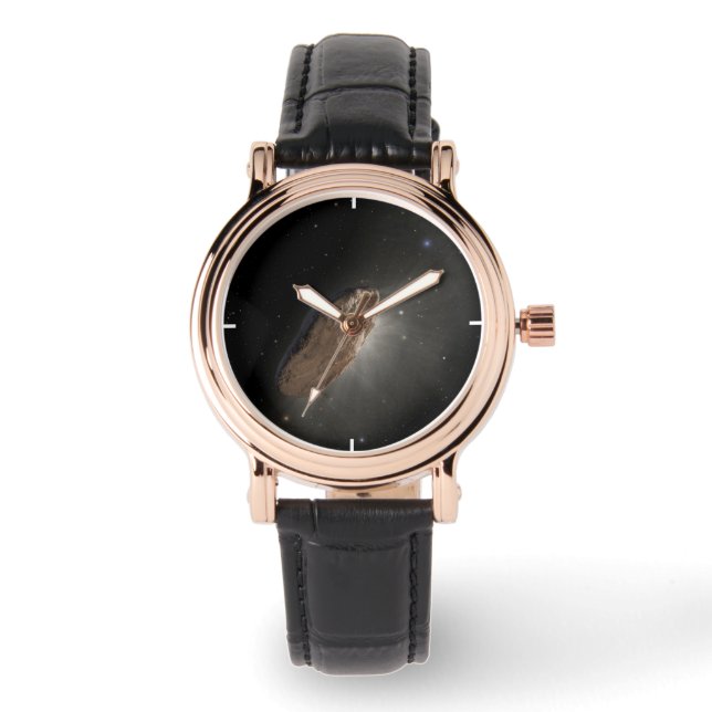 The Wayward Interstellar Object Oumuamua. Watch (Front)