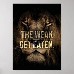 The Weak Get Eaten - Lion - Hustle Poster