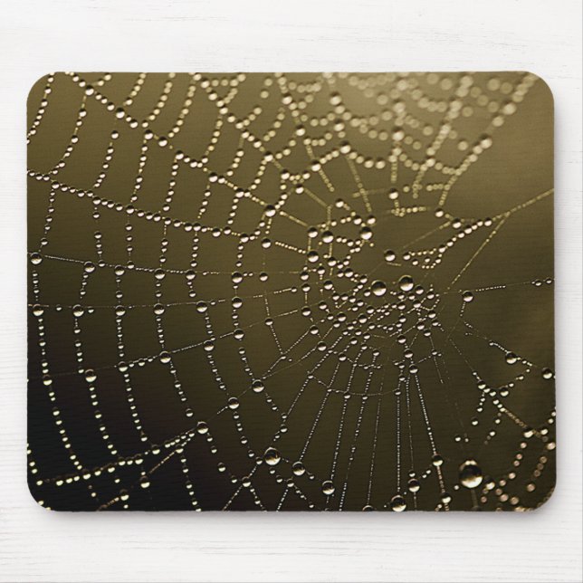 The Web Mouse Mat (Front)