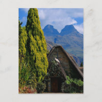 The Wedding Chapel
