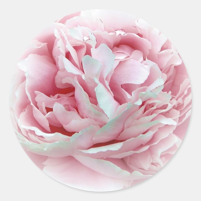 The Wedding Flower Envelope Seals (Front)