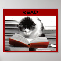The Well-Read Cat Literacy Poster