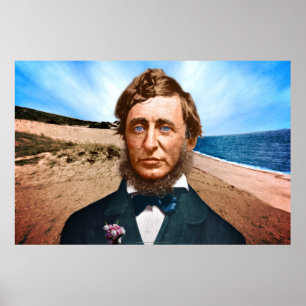 The Wellfleet Penman Poster