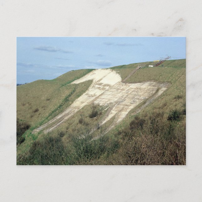 The Westbury White Horse Postcard (Front)