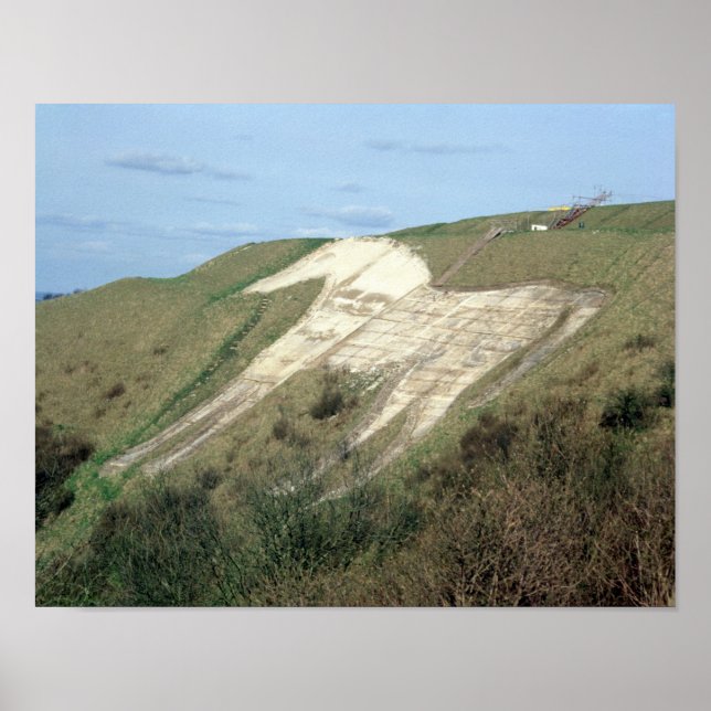 The Westbury White Horse Poster (Front)