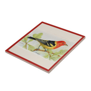 The Western Tanager Bird Ceramic Tile