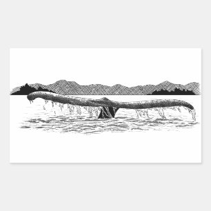 The Whale's Tail Rectangular Sticker