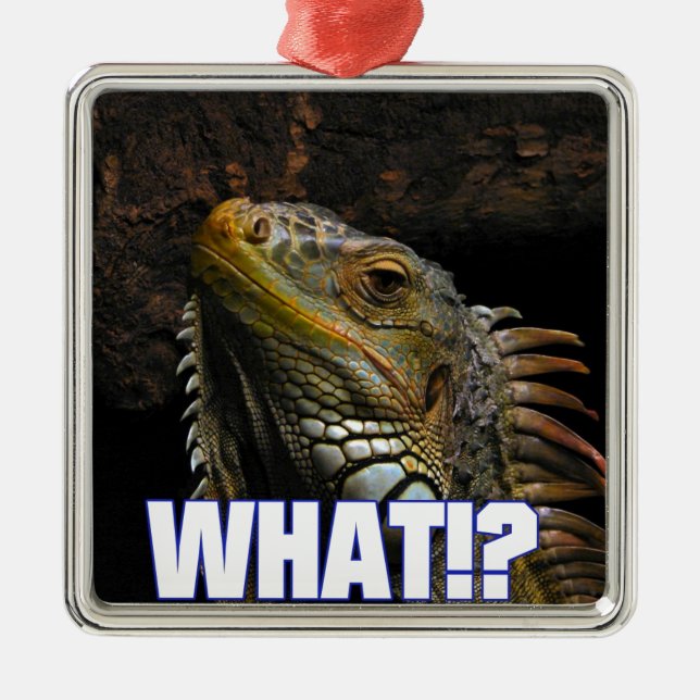 The What!? Iguana Metal Tree Decoration (Front)