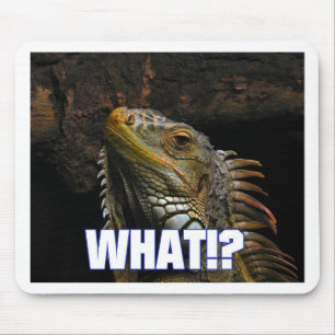 The What!? Iguana Mouse Mat